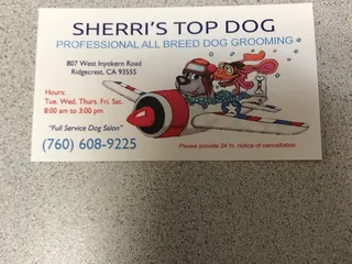 Sherri’s Top Dog