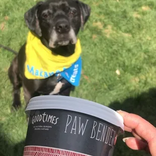 Pawbender