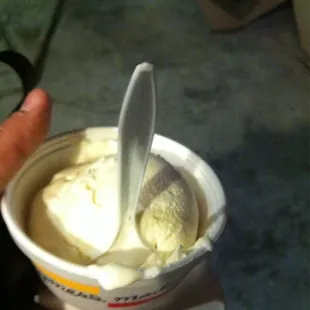Vanilla frozen custard