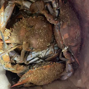 a crab in a paper bag