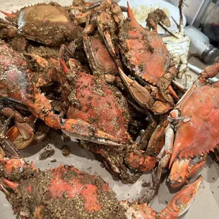 Jumbo Crabs  always heavy and delicious