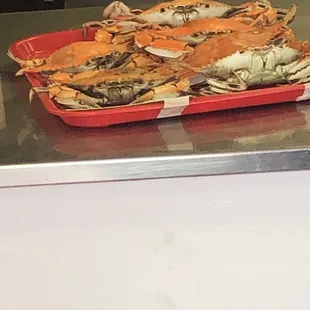 Crab display