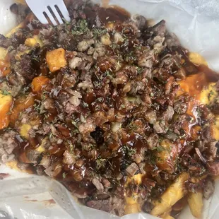 Brisket Fries