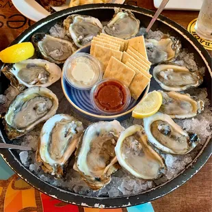 Fresh Oysters on the Half Shell (Prestige Gulf Coast)