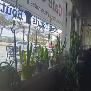 a view of a coffee shop