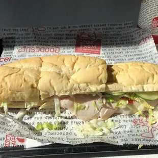 12" Turkey on white.