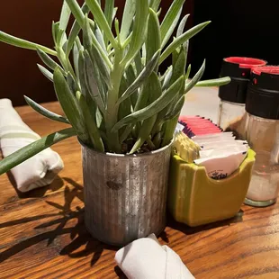 Tables are dressed nicely with a little plant