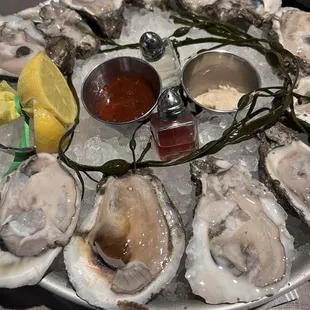 Oysters on the Half Shell