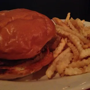 Hamburger and fries