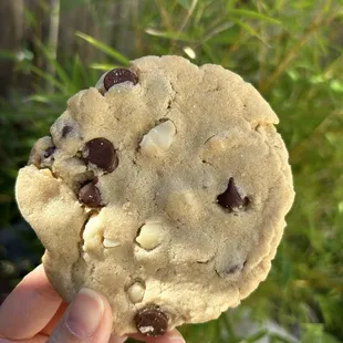Chocolate Chip Macademia Nut