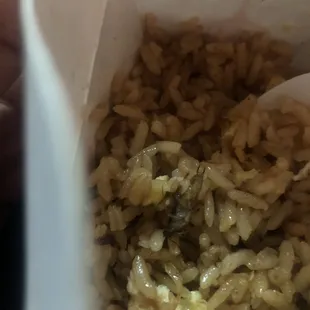 DO NOT ORDER! I ate a little of my fried rice only to find A BUG!.I WILL NEVER ORDER FROM here