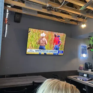 Nature shows and movies.