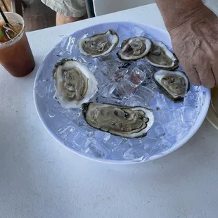 Oysters and bloody Mary&apos;s