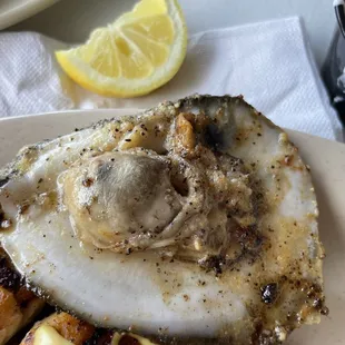 Grilled Oysters