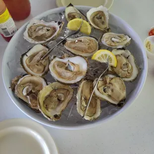 Raw Oysters