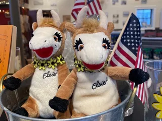 Cheese Counter and Dairy Heritage Center