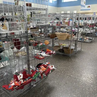 Goodwill
