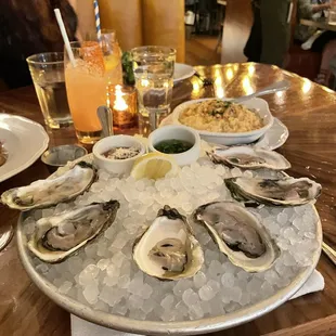 Oysters