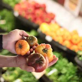 Heirloom organic tomatoes