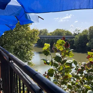 View from our table on back deck