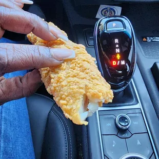 CATFISH!!