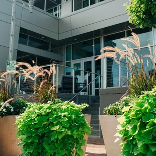 the front of the building