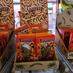 a display of worms