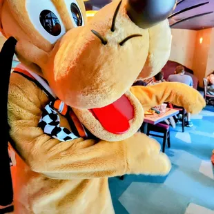 Pluto danced the hula when he found out I&apos;m from Hawai&apos;i. Cute!