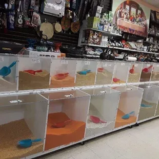 a row of plastic bins filled with sand