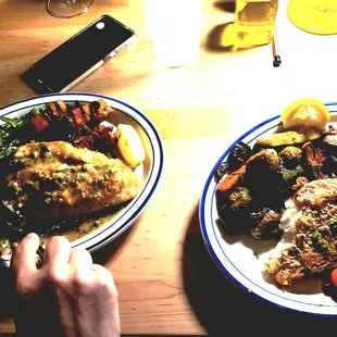 Grouper picdata and the snapper.