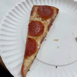 a slice of pizza on a paper plate