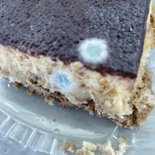 Tiramisu with mold