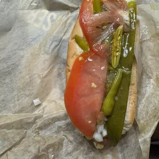 Chicago Dog