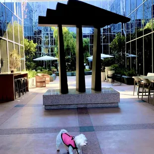 outdoor garden patio was relaxing and zen like only during weekend without busy people on their office  breaks