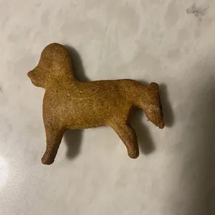 Homemade Dog