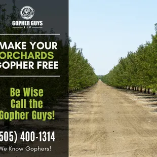 Keep your Orchards Gopher Free