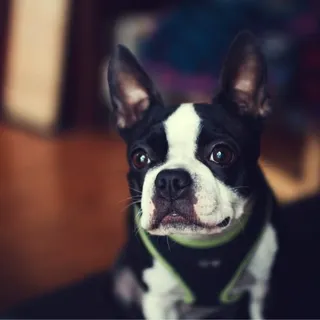 Tucker G.