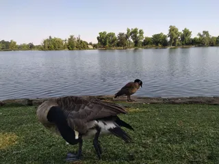 Lodi Lake