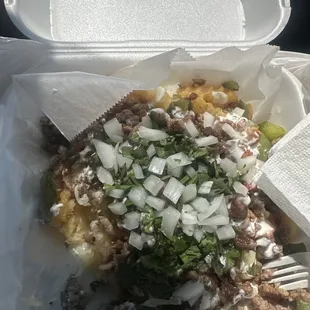 Asada fries