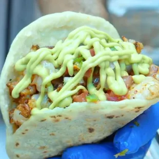 Shrimp/ Camarón gordita.