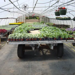 Yet another greenhouse...