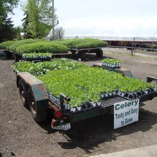 More stuff on big wagons and trailers outside!