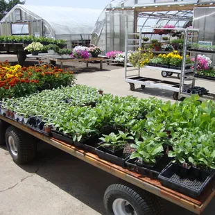 And MORE stuff outside!