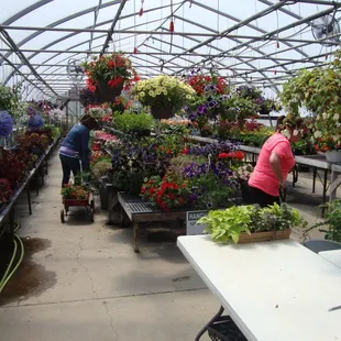 Second greenhouse on the left -- mostly flowers.  This is the one where you pay.