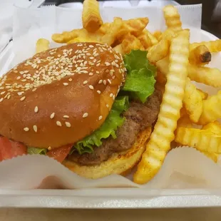 Burger and Fries