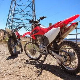 Rental Hondas CRF230F and CRF150F.
