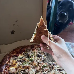 Medium size veggie pizza