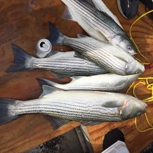 Today was a good day.  secret sauce did it again.