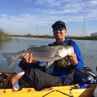 26" 6lbs Striped Bass.