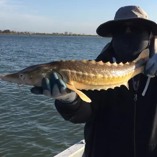 Guy at the counter sold me some special bait. This is what I caught and released.